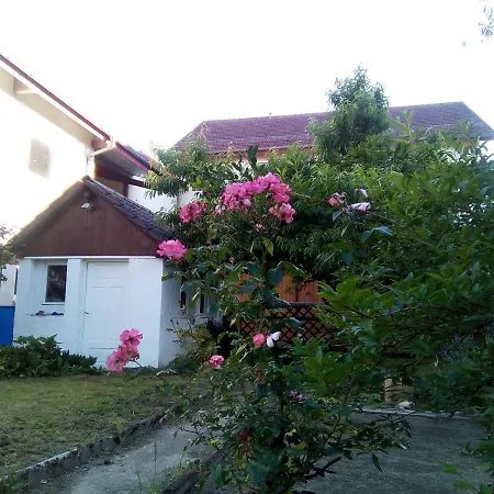 Gasthaus Adler Sinsheim